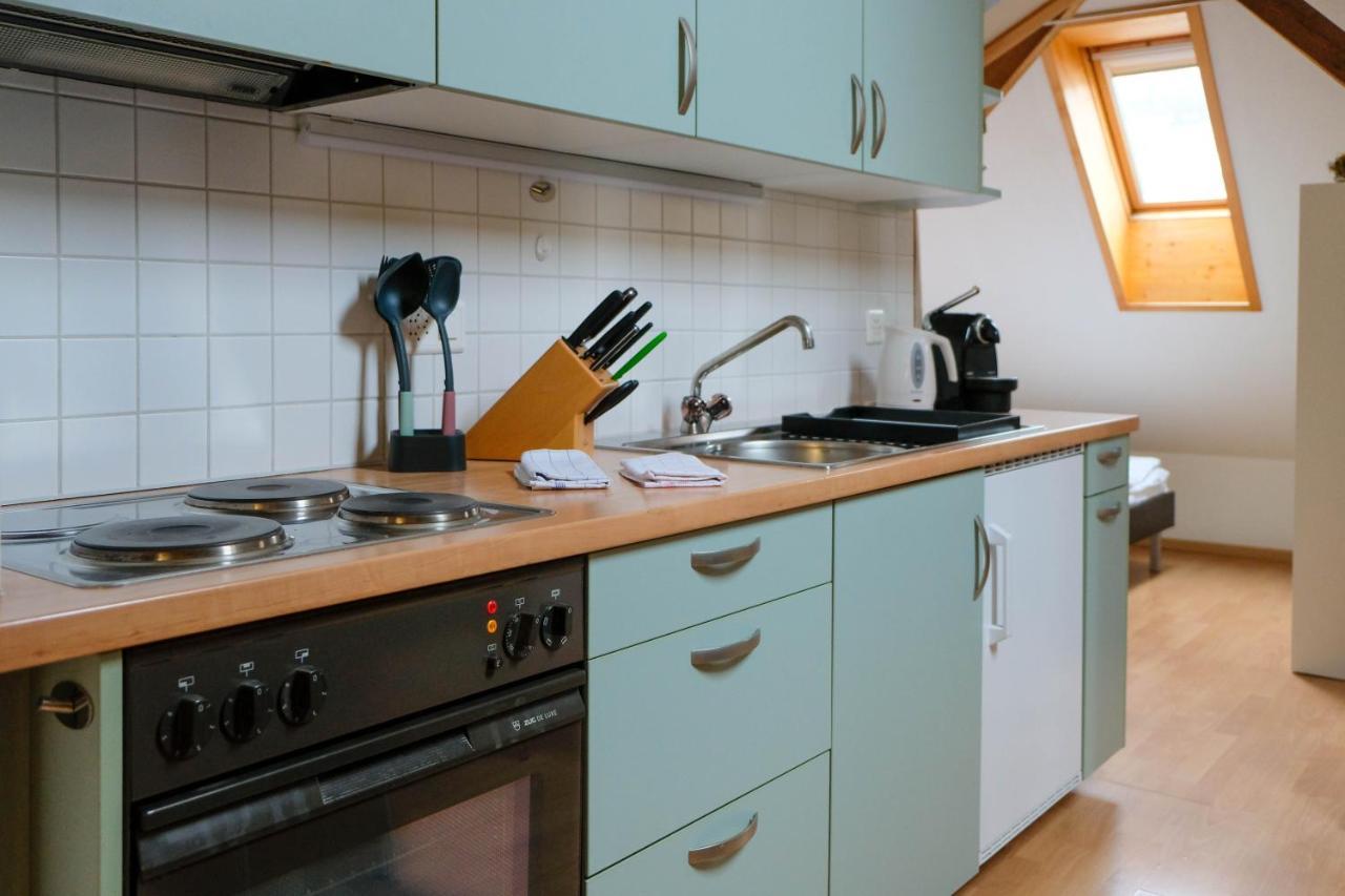Spatzennest Шпиц Экстерьер фото
