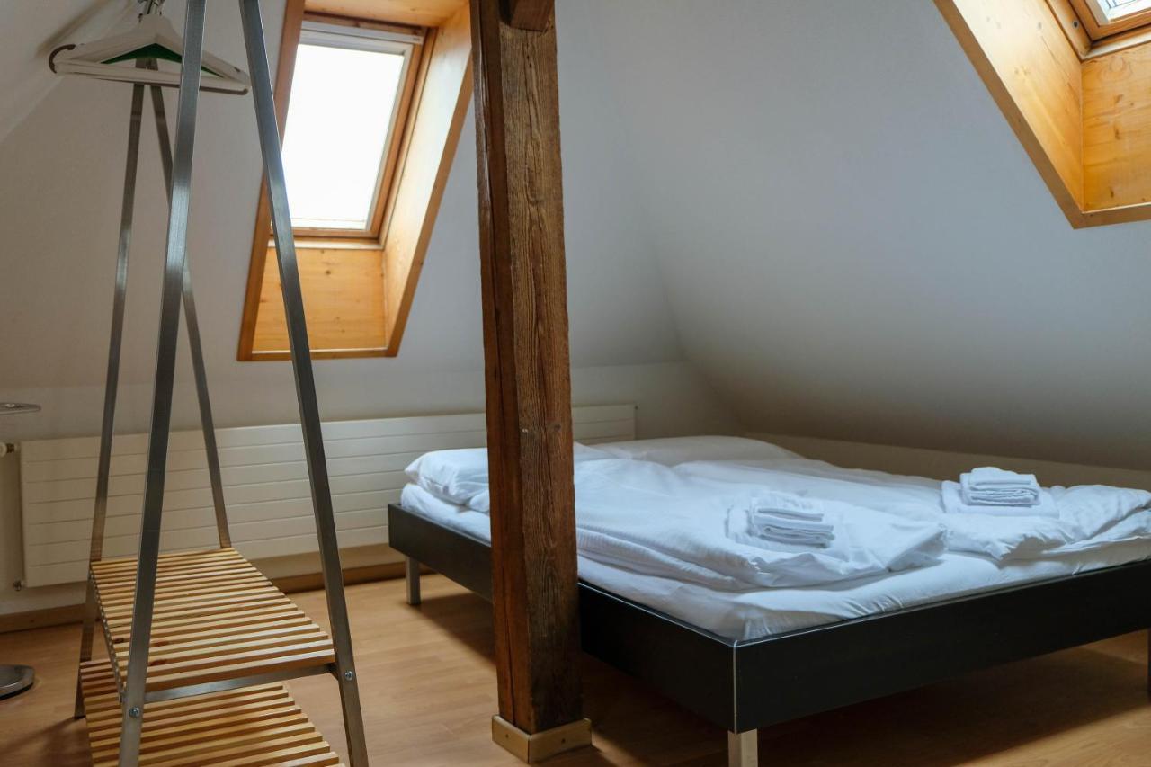 Spatzennest Шпиц Экстерьер фото
