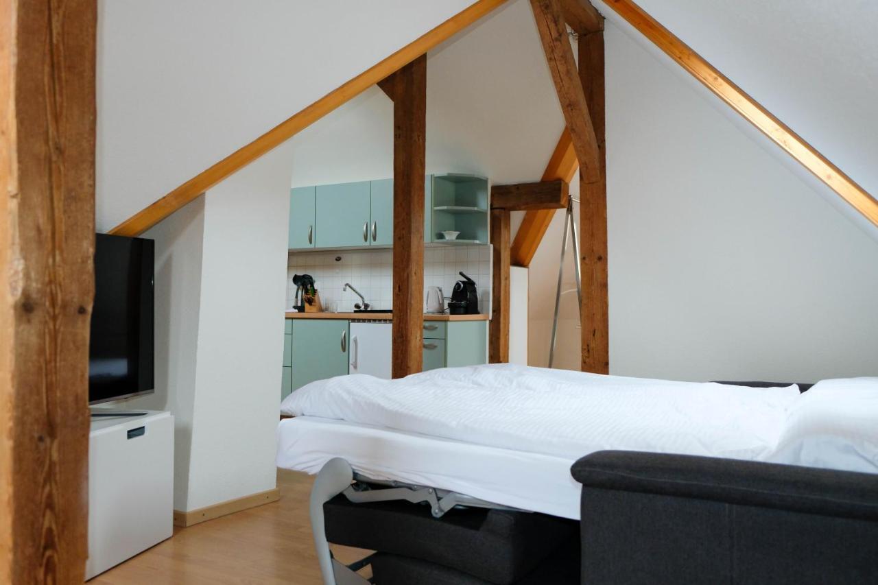 Spatzennest Шпиц Экстерьер фото