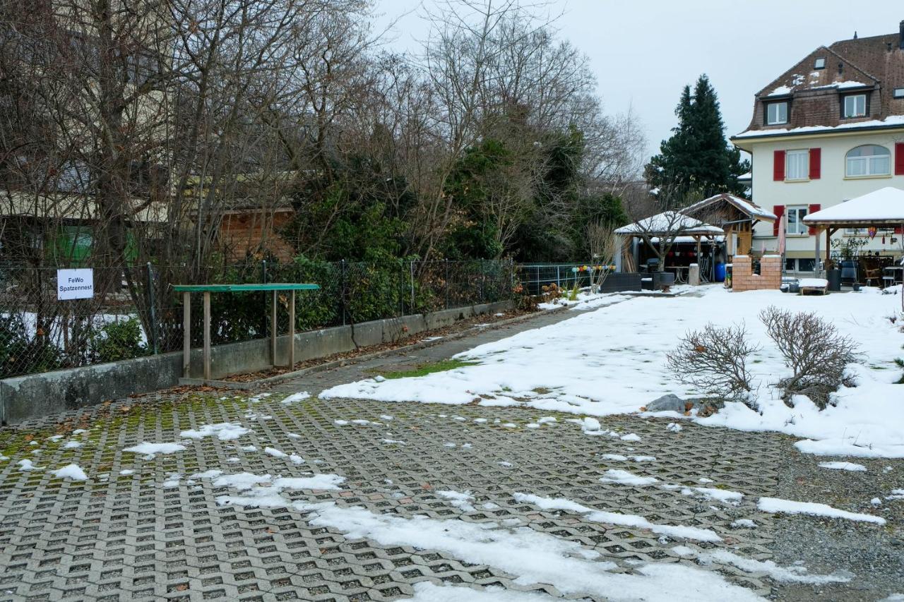 Spatzennest Шпиц Экстерьер фото