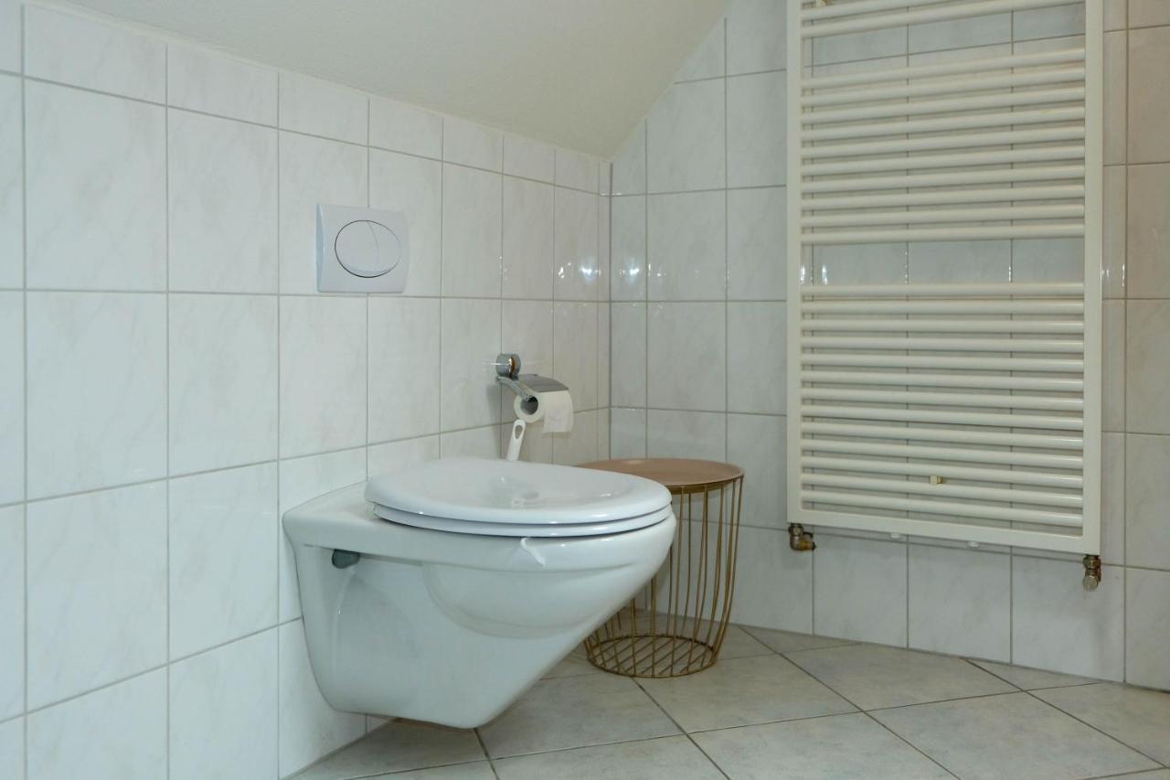 Spatzennest Шпиц Экстерьер фото