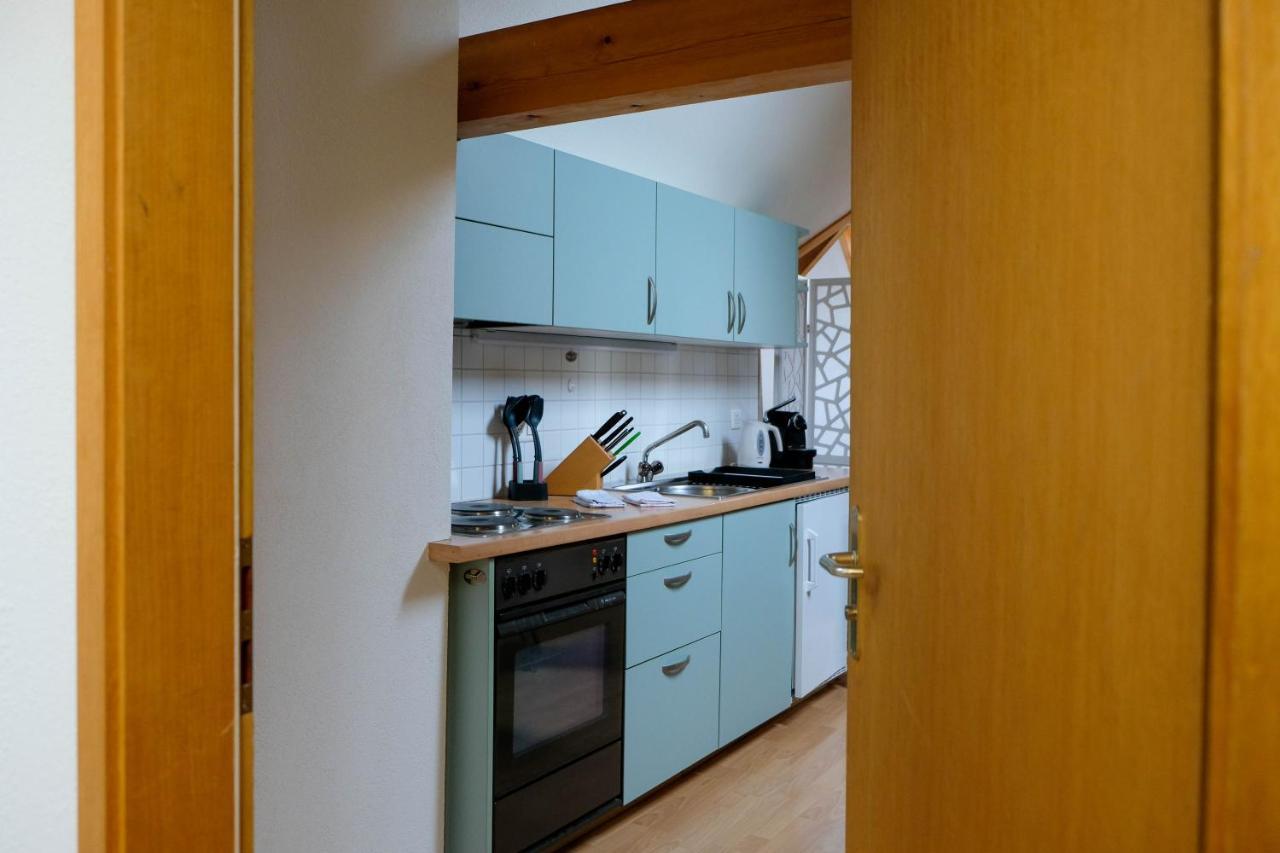 Spatzennest Шпиц Экстерьер фото