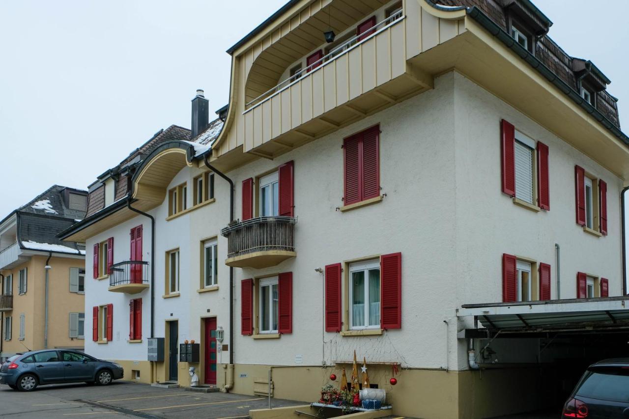 Spatzennest Шпиц Экстерьер фото