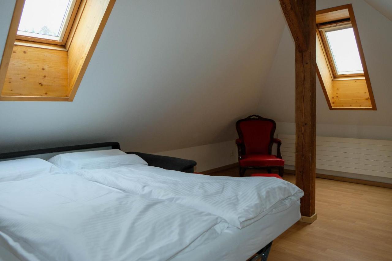 Spatzennest Шпиц Экстерьер фото