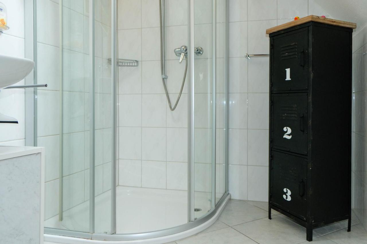 Spatzennest Шпиц Экстерьер фото